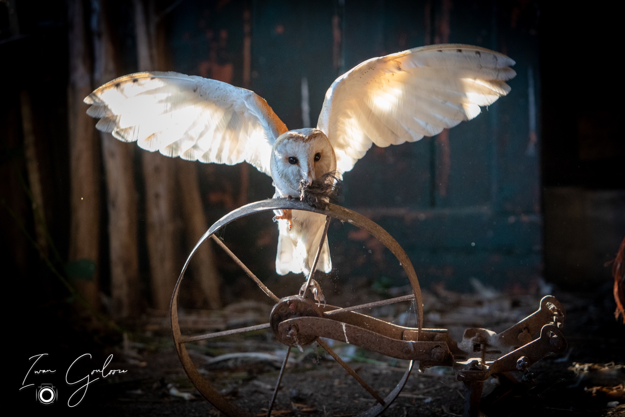 04 maart 2022 161031 1DX44221